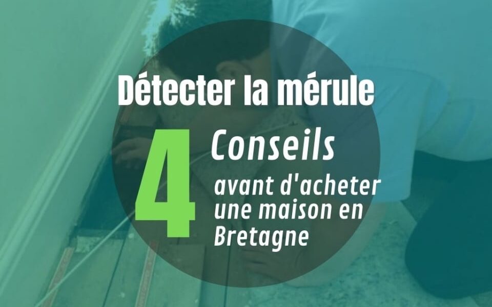 4 Conseils pour Détecter la mérule avant l&rsquo;achat d&rsquo;une Maison en Bretagne !