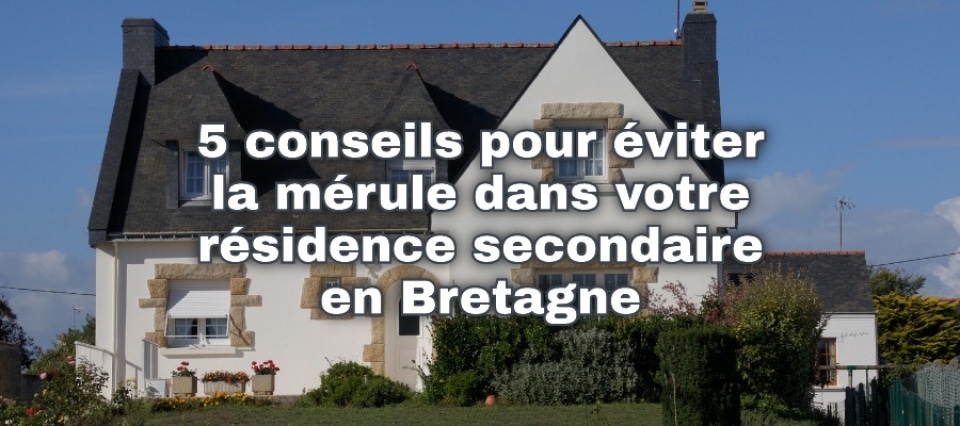 5 conseils pour éviter la mérule dans votre résidence secondaire en Bretagne