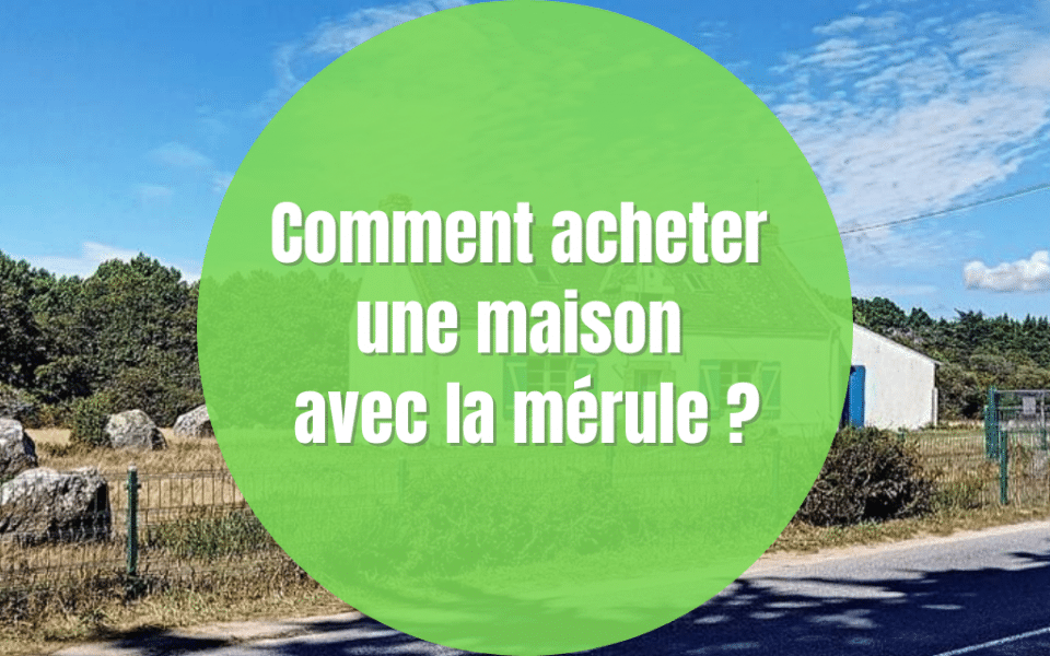 Comment acheter une maison qui a de la mérule ?