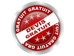 devis-gratuit-isolation-cuvelage-mur-humide-salpetre-merule-quimper-concarneau-douarnenez-fouesnant-quimperle-lorient-traitement-bois-