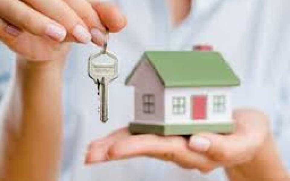 Diagnostic mérule Obligatoire !! Nouveau Casse tête pour les Agents immobiliers