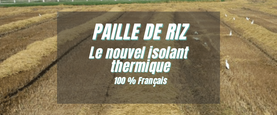La paille de riz, le nouvel isolant thermique 100% Français !