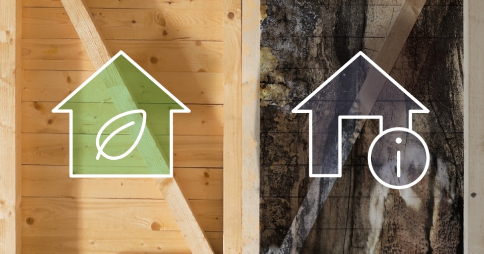 Quels sont les matériaux que la mérule dévorent ?
