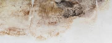 cuvelage-cave-salpetre-humidite-ascensionnelle-quimper-concarneau-douarnenez-fouesnant-lorient