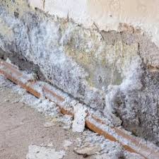 salpetre-diagnostic-humidité-devis-gratuit -mur-humide-ile-tudy-combrit-saint-marine-pouldreuzic