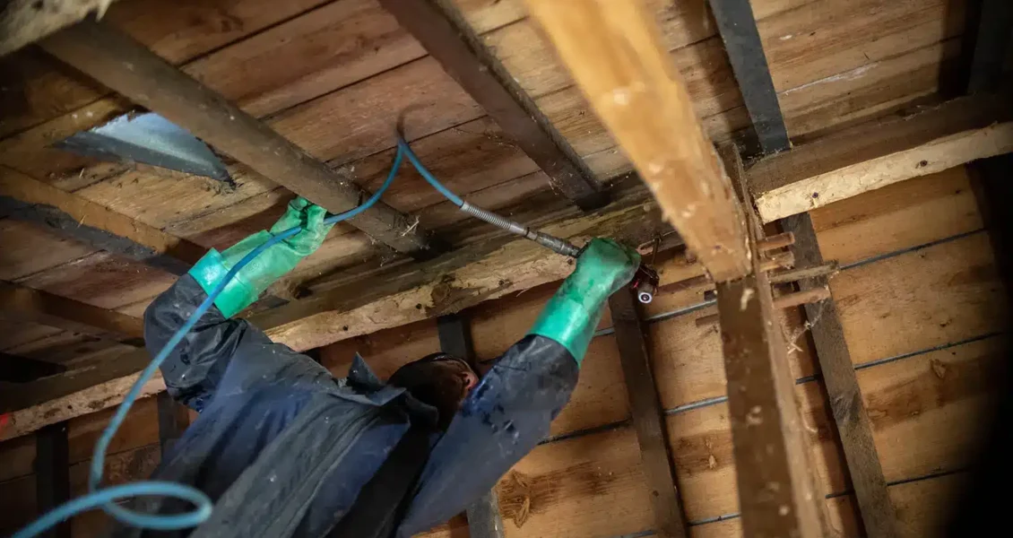Peut-on réaliser un traitement de charpente soi-même ? Guide et astuces pour les bricoleurs
