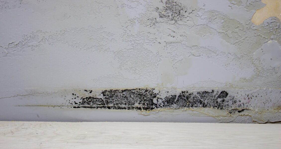 Comment assécher un mur humide ? Les étapes