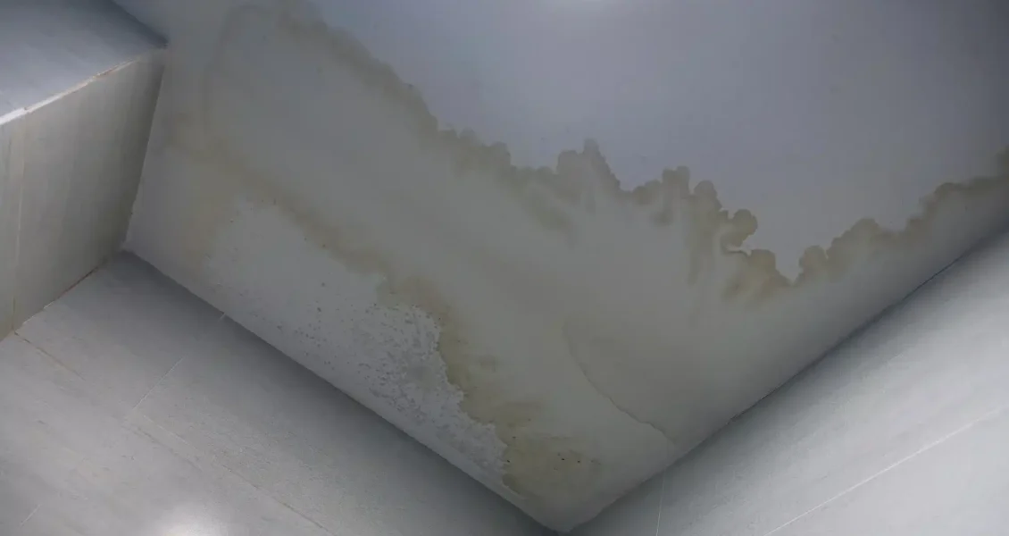 Comment se débarrasser de la moisissure dans la salle de bains ?