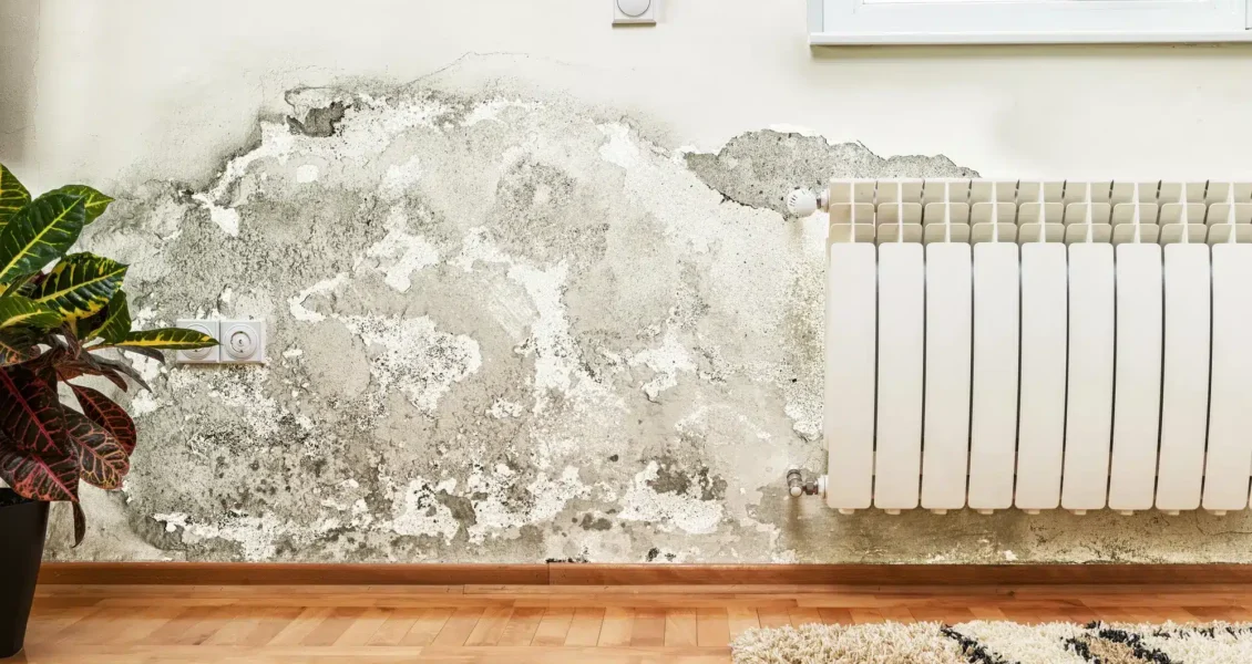 Comment identifier et traiter l&rsquo;humidité dans une chambre ?