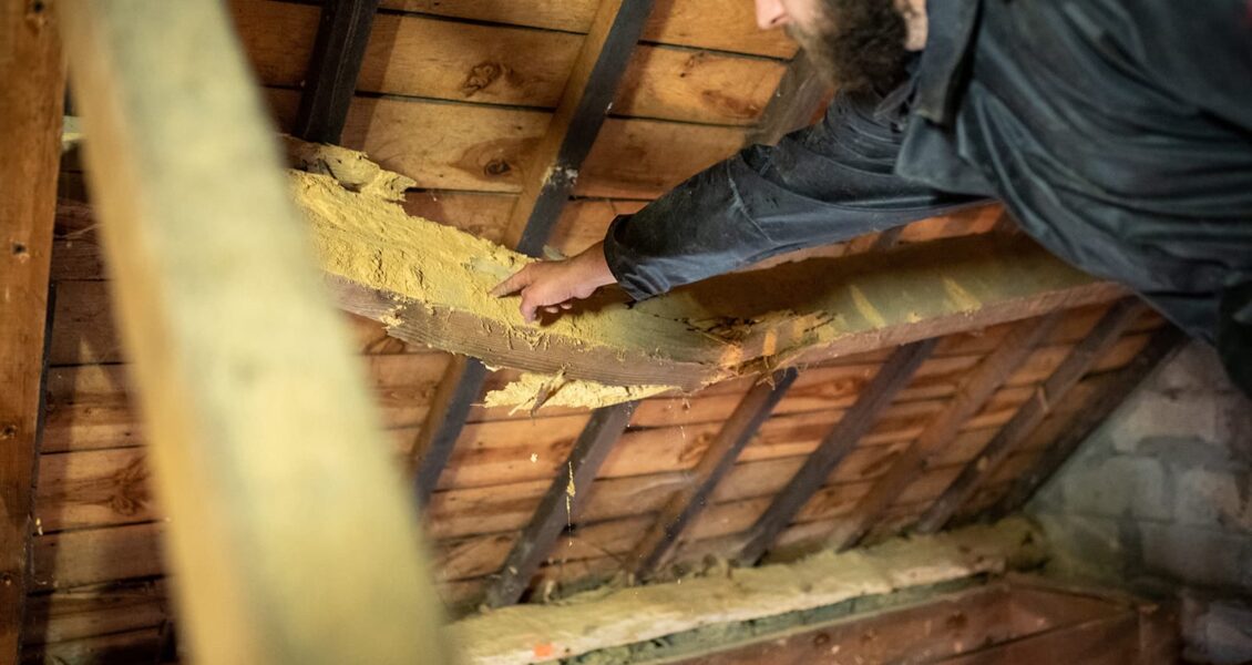 Comment détecter une infestation de charpente ?