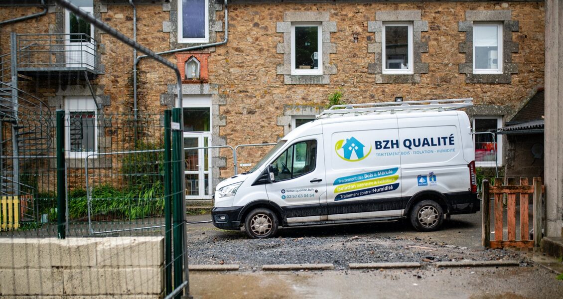 Pourquoi y a-t-il autant de mérule pleureuse en Bretagne ?